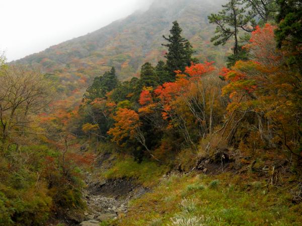 雨ヶ池への登り